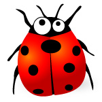 ladybug humidifier